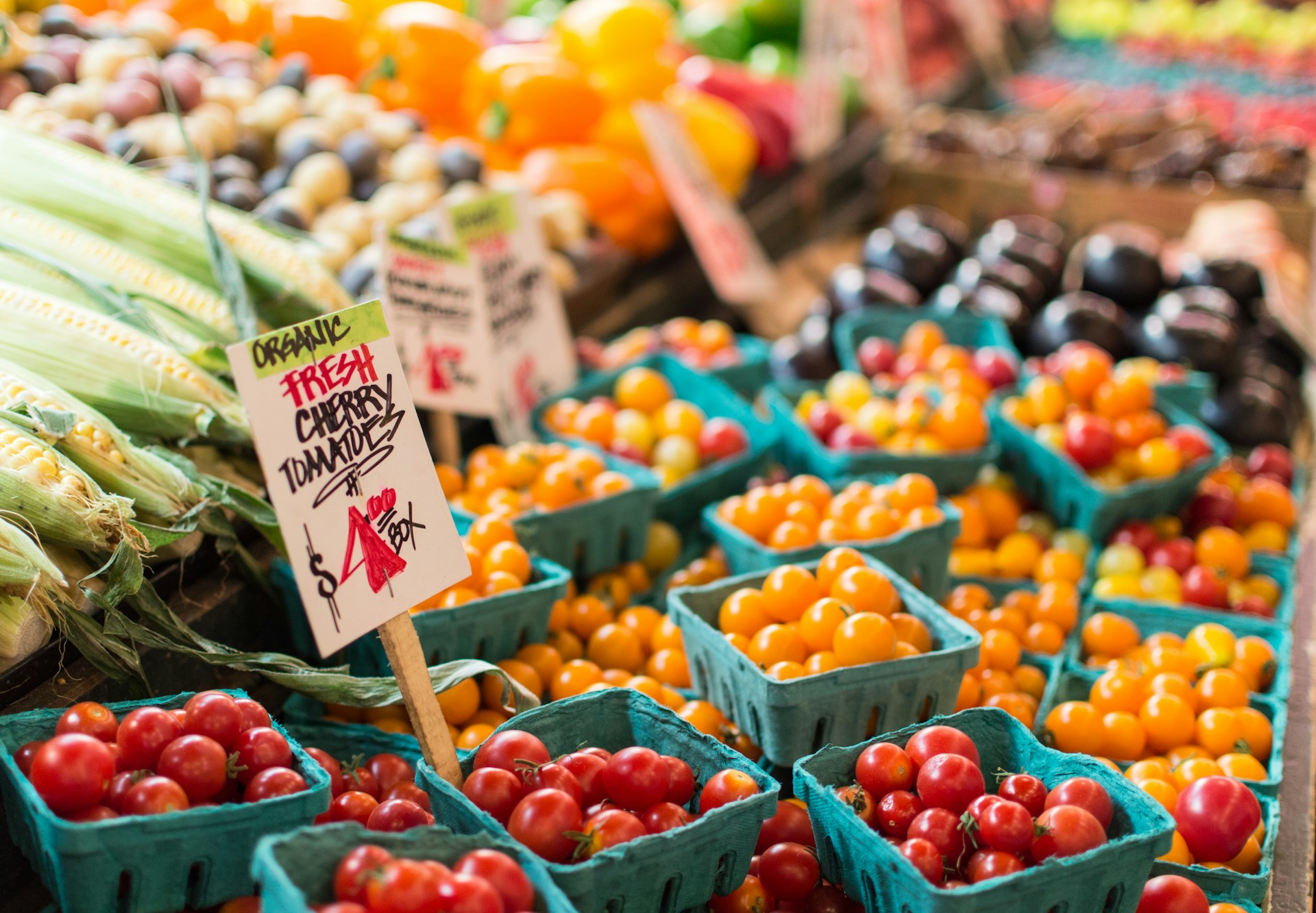 Explore the Oceanside Famers Market