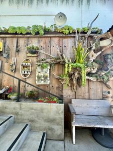 Succulent Coffee - The Brick Hotel