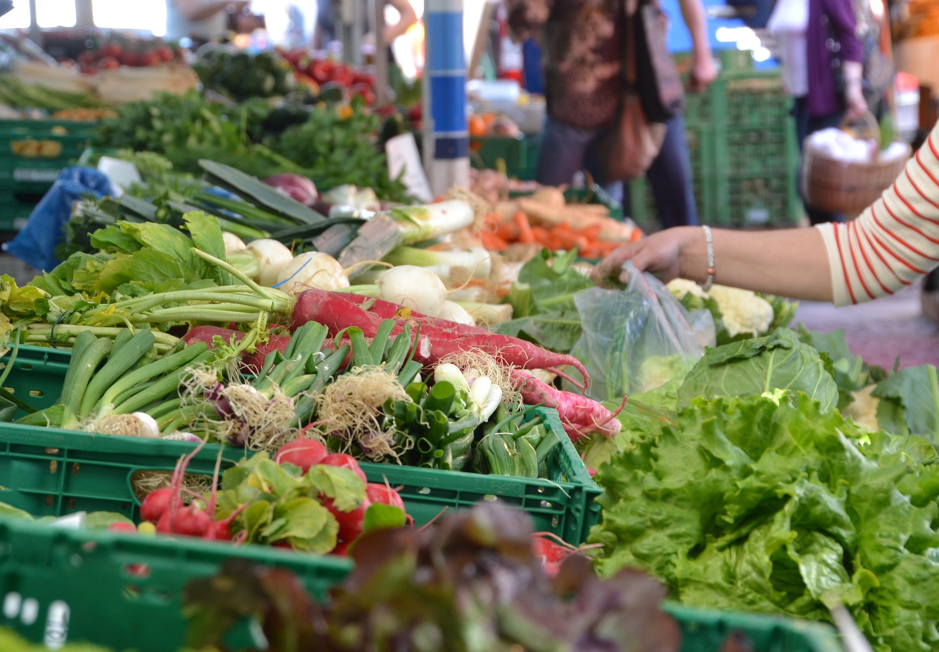 Outdoor Spring Activities in Oceanside - Farmers Market